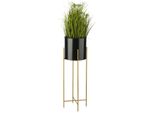 Howhomely | Portafiori - Nero-Oro - Altezza 75 Cm - Metallo - Per Casa E Balcone - Con Vaso