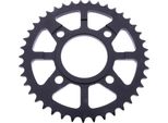Esjot 41 Denti Passo 428 Nera Acciaio