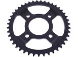 Esjot 43 Denti Passo 428 Nera Acciaio