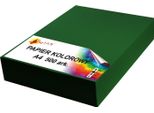 Carta Colorata A4 100G Verde Scuro 500 Fogli
