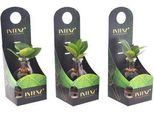 Clusia In Vetro Samoa Con Led - Ø5Cm X ↕10Cm - Pianta Idroponica In Vetro - Elegante Decorazione A Led Per Soggiorno, Ufficio E Idea Regalo