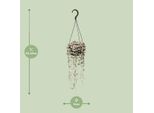 Ceropegia Linearis Ssp. Woodii Variegata - Pianta Da Appartamento - Ø14Cm - Altezza Circa 38Cm - Succulenta Pendente Con Foglie A Forma Di Cuore