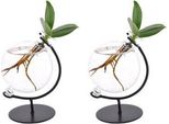 Clusia In Vetro Victoria - Mela Balsamica - 2 Pezzi - Ø5Cm - Altezza Circa 10Cm - Pianta Idroponica Decorativa - Facile Da Curare Ed Elegante - Per Il Soggiorno E L'ufficio