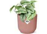 Edera Scindapsus Pictus Trebie - Pianta Da Appartamento Ø12Cm Incl. Vaso Decorativo Vibes Fold Pink Ø14Cm - Pianta Verde Rampicante Di Facile Cura - Pianta Pensile Che Purifica L'aria Per Soggiorno, Ufficio E Camera Da Letto