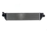 Intercooler Renault Master Iii 2.3Dci 19-