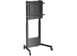 Supporto Dello Schermo Per Il Tavolo Aisens FT100E-263 60" 100"""