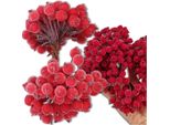Edibazzar | Rami Artificiali Di Sorbo, Rossi, Decorativi, Gelati, 100 Pezzi