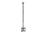 Aisens CT43TSE-053 Supporto A Soffitto Girevole/Inclinabile/Estensibile Per Tv 23-43" / Fino A 50Kg"