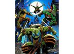 Dipinto A Numeri Con Quadro Misteriose Nove Tartarughe In Azione 40X50 Cm