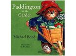 Paddington In Giardino