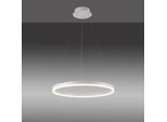 Paul Neuhaus Pendelleuchte "Titus", Weiß, 1, Ø 60Cm, 1 Stk., Leuchten, Led, Dimmbar, Simply Dim, Memory, Nach Trennung Vom Netz, Pendelleuchte