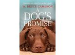 La Promessa Di Un Cane