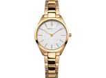 Orologi Bering 17231734