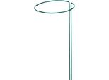 Siena Garden Supporto Per Arbusti 100X30Cm Verde, Regolabile