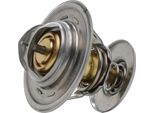Termostato Liquido Di Raffreddamento Metzger Per Audi 80 B2