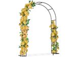 Sessamen-Lp Arco Per Rose Arco In Metallo Arco Per Rose Da Giardino Traliccio Per Rose Supporto Per Rose E Piante Rampicanti Telaio Per Rose (Nero)