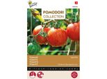 Buzzy Pomodori Pomodoro Tigerella Semi - Circa 1,5 Gr | Buzzy_028495