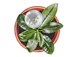 Set Di 6 Palline Per Innaffiare Relaxdays