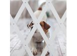 Relaxdays Recinto Per Cani Estensibile In Bianco