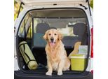 Rete Divisoria Per Cani Relaxdays