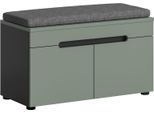 Panca Canu Con Contenitore Incl. Cuscini 2 Porte Verde Polvere, Grigio Scuro.