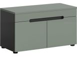 Panca Canu Con Contenitore 2 Porte Verde Polvere, Grigio Scuro.