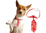 Cravatta Per Animali Domestici