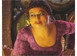 Pittura Da Numeri Con Telaio Pittura Shrek Doris 50X40 Cm