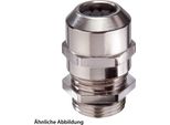 10065802 Wiska Raccordo A Vite Per Basse Temperature M20X1,5 Incl. O-Ring Ottone (Cuzn) Nichelato Lunghezza Filetto 6,0Mm -