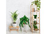 Bambus Bathroom Stool Per Il Corridoio Del Bagno Stand
