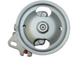 Spidan 53609 - Oe 49110 0M000 Servo Pompa Per Almera I (N15)