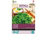 Semi Di Coriandolo Buzzy Xotica - Circa 10 Gr | Buzzy_080425