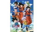 Puzzle Dragon Ball 2X500Stü Ck