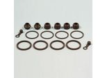 Kit Revisione 2 Pinze Freno Tourmax BCF-105 Per Honda
