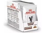 Royal Canin Vet Gastro Intestinal Feline 12X85G
