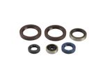 Kit Guarnizioni Paraoli Motore Athena P400270400015