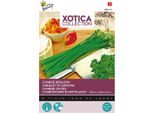 Semi Di Erba Cipollina Cinese Buzzy Xotica - Circa 3 Gr | Buzzy_080410