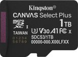Kingston Technology 1TB Micsdxc Canvas Select Plus Gen3 150R A1 (Adattatore Sd Non Incluso)
