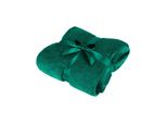 Teesa TSA8902 Coperta Microplush 200X220 Cm, Verde