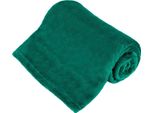 Teesa TSA8901 Coperta In Microplus 150 X 200 Cm, Verde