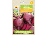 Semi Vegetali Toraf Barbabietola Scura, Confezione Da 20 G