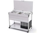 Durable Carrello Per Cartelle Sospese System 100 Multi Top, Grigio, 378710
