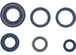 Kit Guarnizioni Paraoli Motore Athena P400090400240
