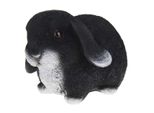 Figura Da Giardino Progarden Coniglio Nero In Polipropilene 10X16X10,5 Cm
