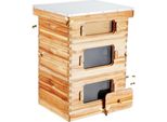 Arnia Zander 30 Telai In Legno Di Cedro - Set Di Arnie Langstroth Con Finestre Trasparenti - Struttura Robusta E Durevole Con Rivestimento In Cera D'api