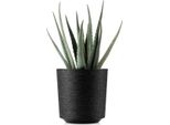 Howhomely | Fioriera Di Design Aloe Texelle, Nera - 19,5 X 20 Cm - Design Innovativo, Facile Da Curare