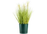 Howhomely | Fioriera Azalea - 17,5 Cm - Plastica Verde - Vasi Da Fiori - Resistente Alle Intemperie, Design Elegante