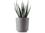 Howhomely | Fioriera Aloe Texelle, Taupe - 19,5 X 20 Cm - Vasi Da Fiori, Eleganti, Pratici