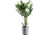 Howhomely | Fioriera Aloe Texelle, Grigio - 28,5 X 31,6 Cm - Fioriere, Design Moderno, Facile Da Pulire