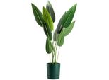 Howhomely | Fioriera Azalea - 22 Cm - Verde Avocado - Vasi Da Fiori - Resistente Alle Intemperie, Sottovaso Integrato